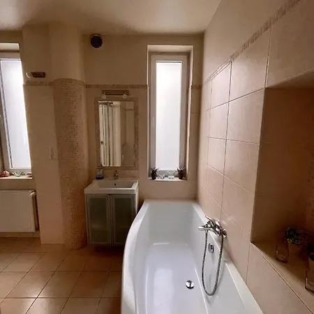 Spacious In The Heart Of 公寓 索波特